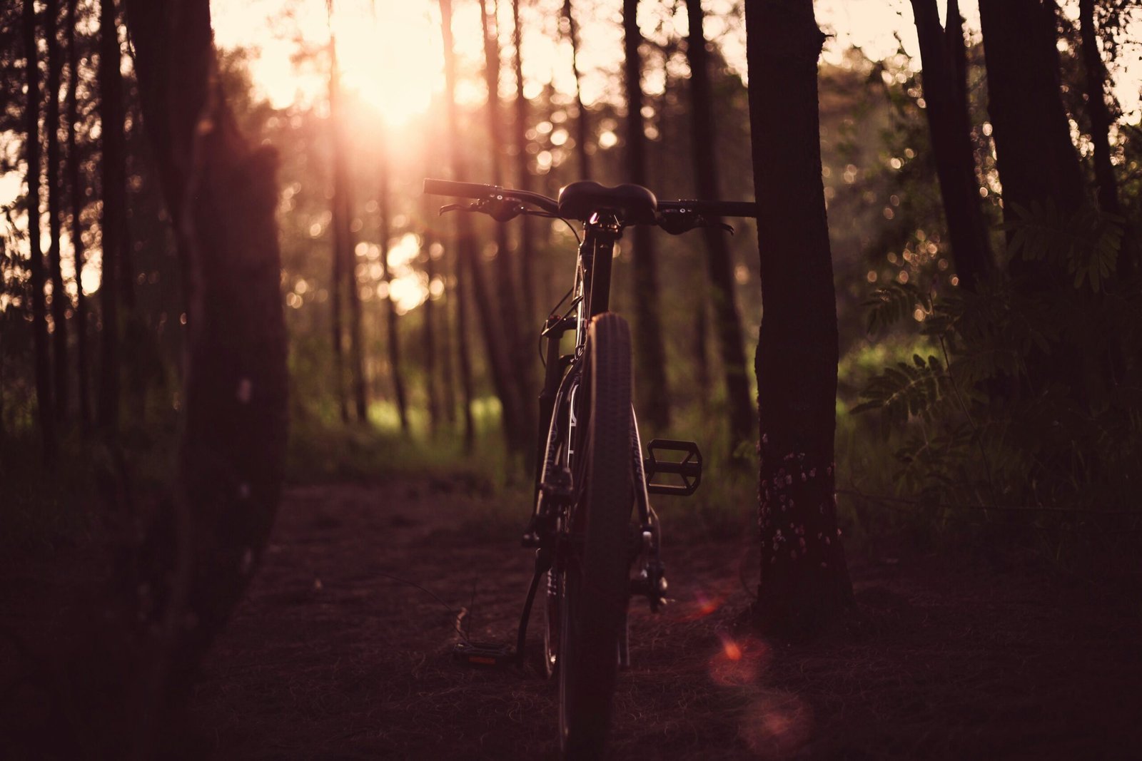 Préparez Votre VTT pour l’Été